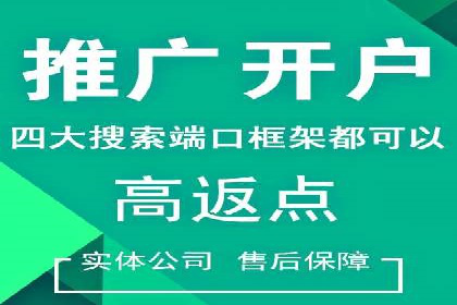 SEM搜索引擎优化：广告创意的策划与执行